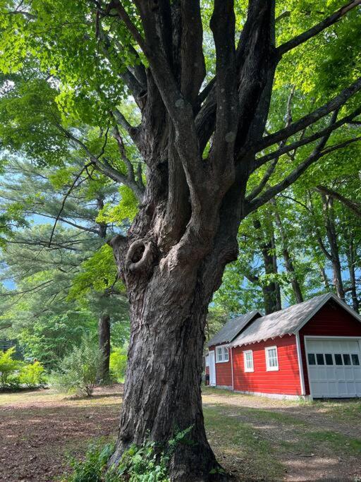 Schoolhouse No. 11 * Hudson Valley Upstate Getaway Stone Ridge Zewnętrze zdjęcie